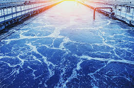 The Evolution of American Federalism: Environmental Protection