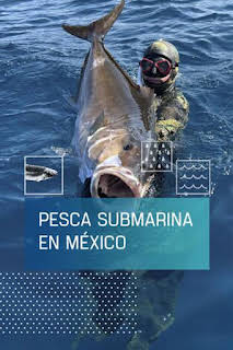 12:30: Pesca submarina en México | Caza y Pesca | 7/13 2026
