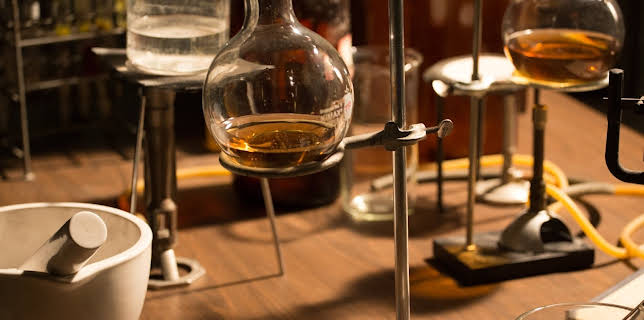 14:15: Deep Time History | ZDFinfo | 11/11 2025