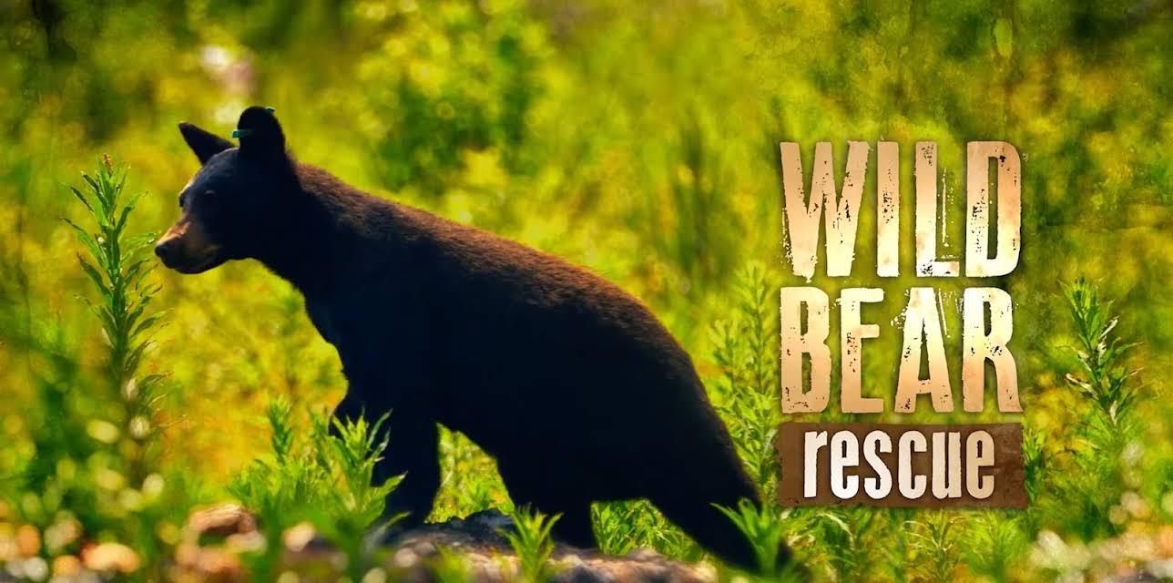 Wild Bear Rescue