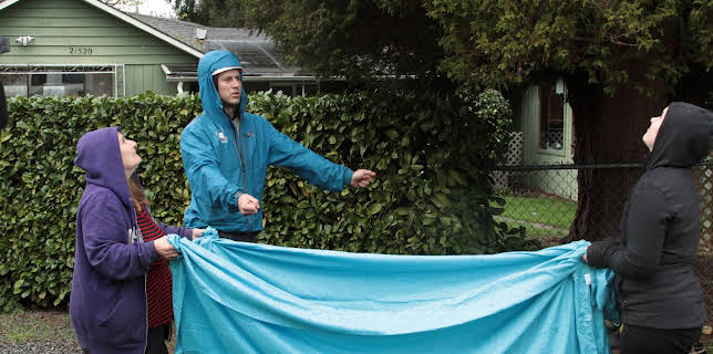 14:00: Treetop Cat Rescue (S1 E9) (S1) | Animal Planet | 2/25 2026