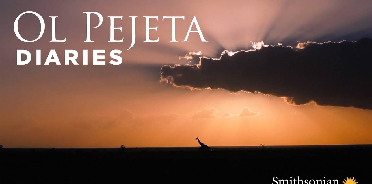 Ol Pejeta Diaries