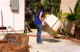 I Hate My Yard: Episode 10