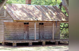 A New History of the American South: Slavery Becomes American