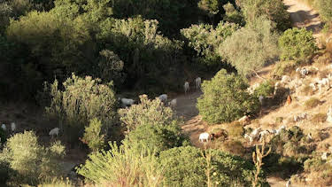 13:10: Stadt Land Kunst | Arte | 4/7 2026