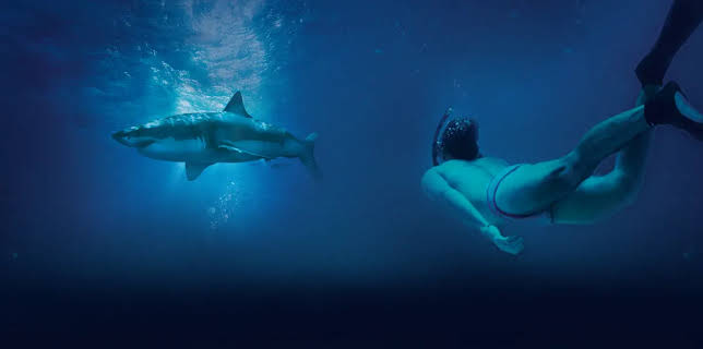 Sharkwater Extinction (2019)