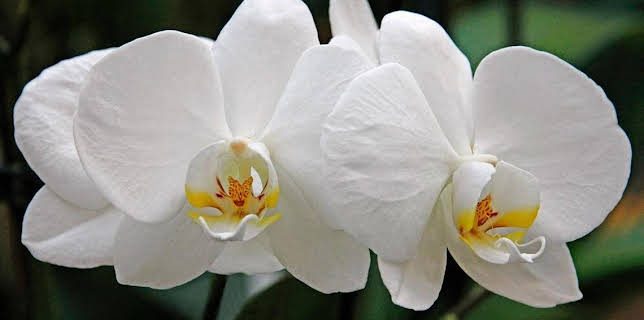 19:10: Vom Ahorn bis zur Zwiebel | ARD Alpha | 3/23 2026