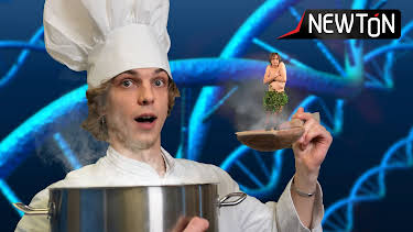 19:00: Newton 2026: Din unike oppskrift! | NRK Super | 5/24 2026