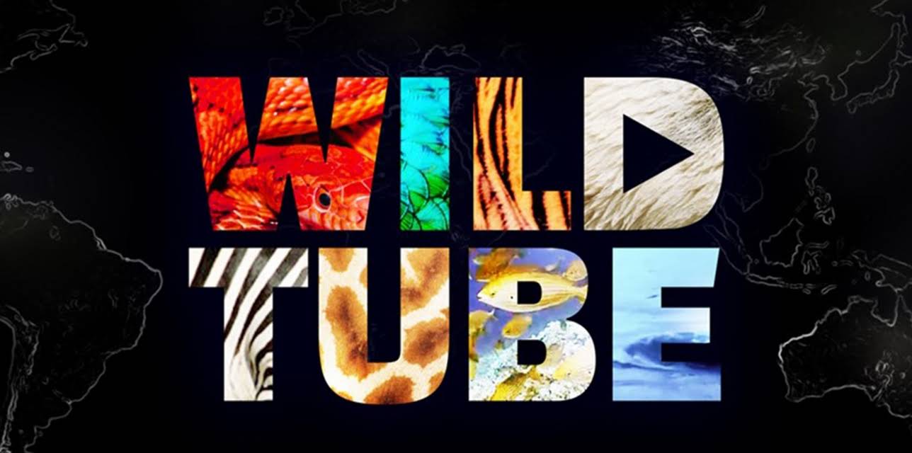 Wild Tube