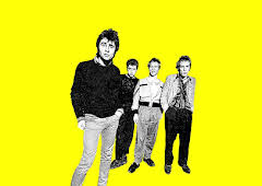 I Was A Teenage Sex Pistol