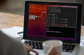 Introduction to C++: Programming Concepts and Applications: Expanding What Your Functions Can Do in C++