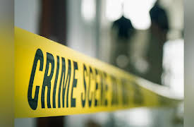 Law School for Everyone: Who Defines Crimes, and How?