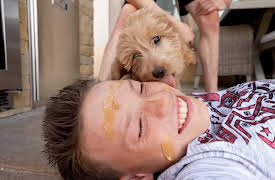 Ninja Kidz TV: Ninja Challenge: Crazy Dares and Sushi