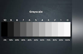 How to Paint: Fundamentals: Establishing Value
