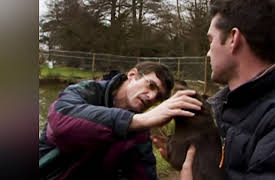 Saving Grace: Almost a Proper Otter