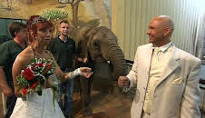 Panda, Gorilla & Co. (80)