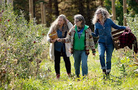 Zoe Bakes, Season 1: Apple Classics