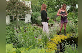 The Vineyard Season 1: Secret's Out