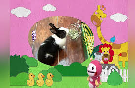 Momo Meets Animals, Season 1: Momo Meets Animals, Season 1, Episode 4