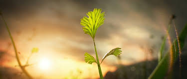 08:25: Die Erde – Entstehung des Lebens | ZDFinfo | 4/27 2026