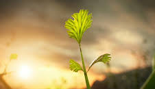 Die Erde – Entstehung des Lebens