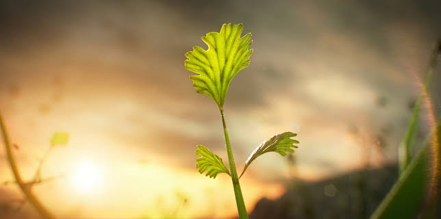 10:00: Die Erde – Entstehung des Lebens | ZDFinfo | 11/27 2025