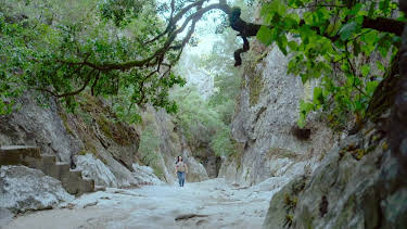 11:45: Naturparks in Portugal | Arte | 8/29 2026