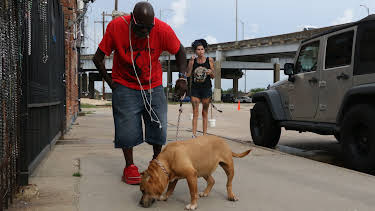 16:00: Pit Bulls & Parolees (S8 E1) (S8) | Animal Planet | 12/27 2025