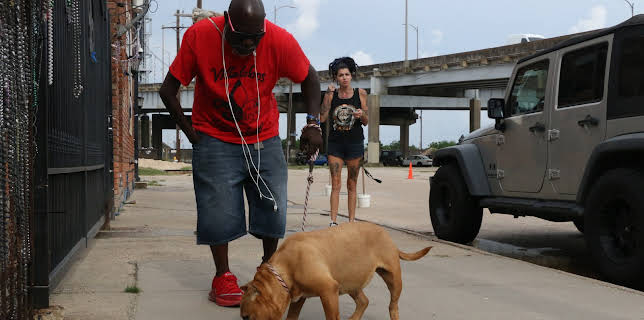 15:00: Pit Bulls & Parolees (S8 E1) (S8) | Animal Planet | 12/27 2025