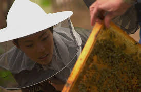 36 Hours Season 1: Berlin's Wild Side