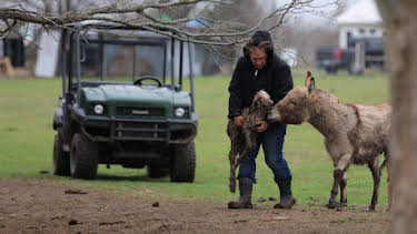 6:00 PM: Homestead Rescue (S5) | Discovery Channel | 4/8 2026