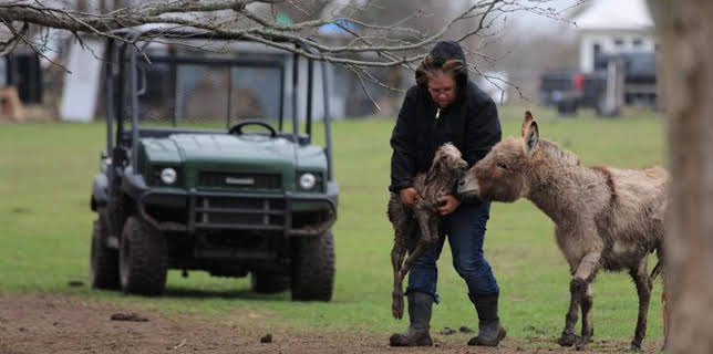 1:00 PM: Homestead Rescue (S5) | Discovery Channel | 3/15 2026
