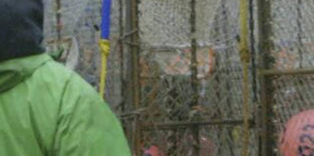 09:45: Pesca radical: Sobre el raíl | Discovery | 2/22 2026