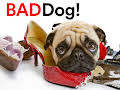 Bad Dog