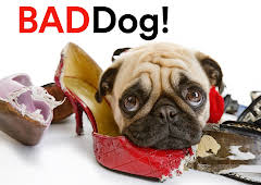 Bad Dog
