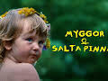 Myggor & salta pinnar