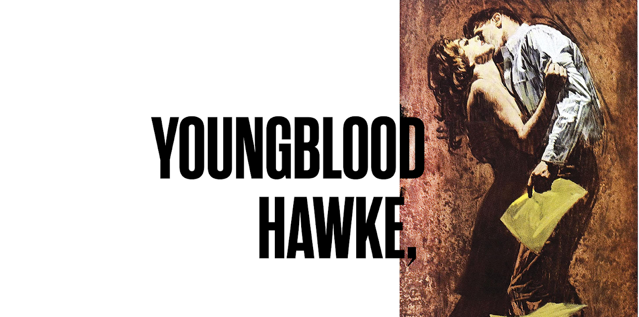 Youngblood Hawke (1965)
