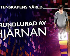 Vetenskapens värld: Grundlurad av hjärnan