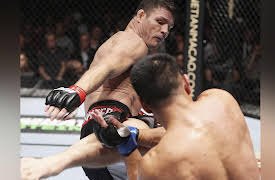 2014 UFC FIGHT PASS Main Events: Michael Bisping vs. Cung Le UFC Fight Night 48