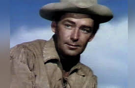 Hollywood Idols: Alan Ladd: The True Quiet Man