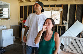 Renovation Aloha, Season 1: Discovery Disgusting