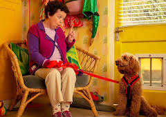 Waffle the Wonder Dog