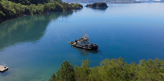 20:30: 71° nord - Norges tøffeste kjendis (S17 E28) (S17) | TVNorge | 11/13 2025