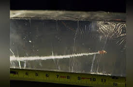 Duck Quacks Don't Echo Season 1: Faster Than A Speeding Bullet