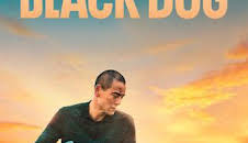 Black Dog