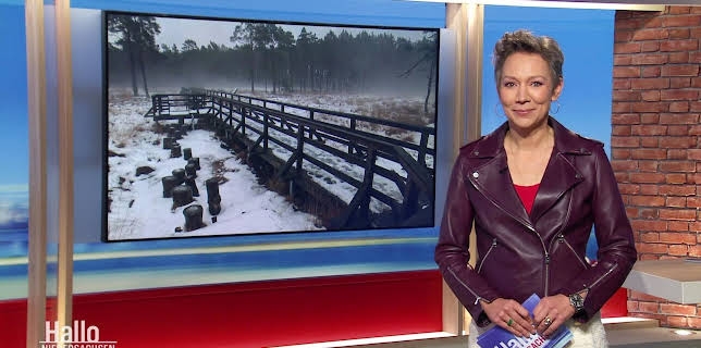 11:00: Hallo Niedersachsen | NDR Fernsehen | 1/15 2026