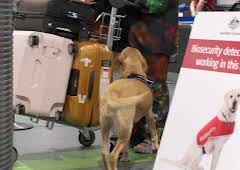 Border Patrol Australia