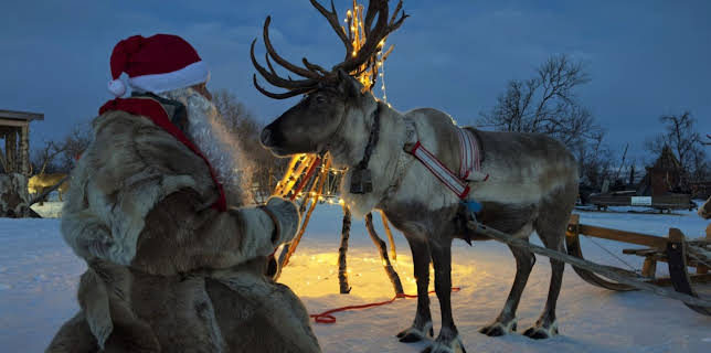 04:45: Tierische Weihnachten | Das Erste | 12/26 2025
