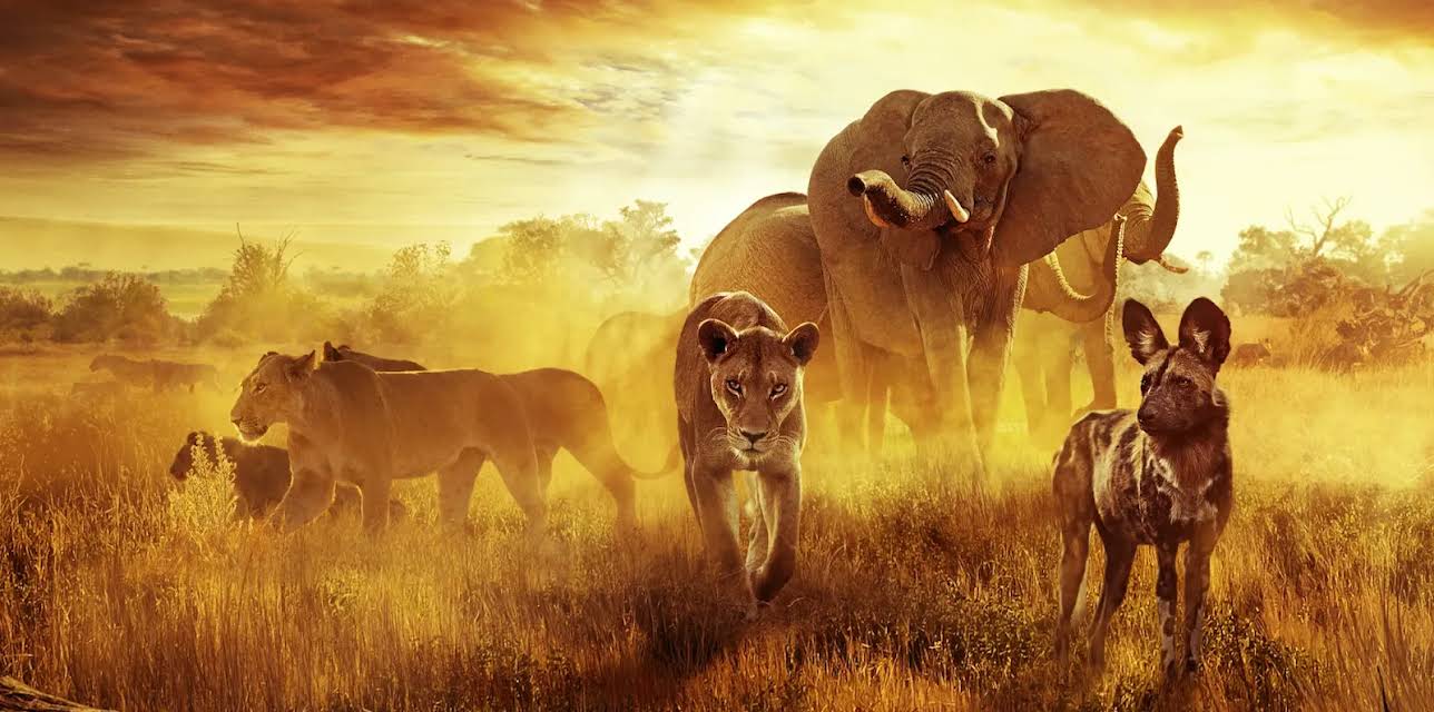 Surviving Paradise: A Family Tale (2022)