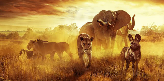 Surviving Paradise: A Family Tale (2022)